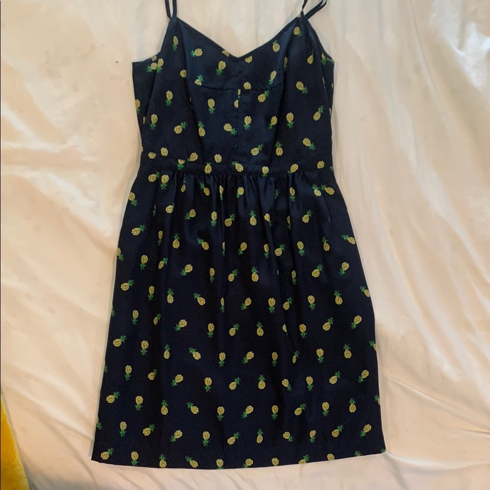 J Crew Dress